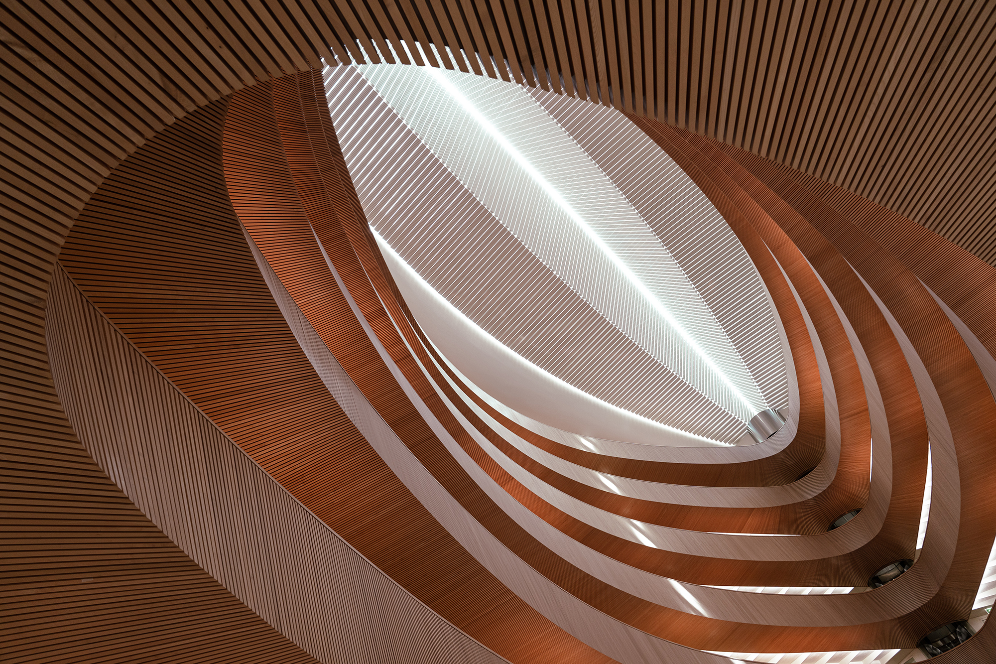 Grid Project Image