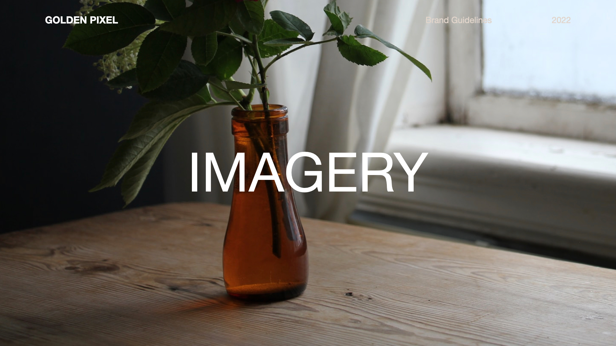 Single Image